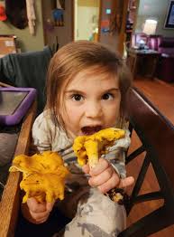 What is the ID of this unknown object?