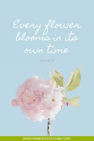 Every Flower Blooms In Its Own Time In 2020 Flower Quotes Quotes About Flowers Blooming Bloom Quotes