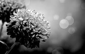 Guide To Pornography Laws In The UK - Adley Gray