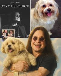 Alone in the now-silent house — Bella, the loyal dog who never left Ozzy  Osbourne's side, stopped eating after his d-ea-th and quietly collapsed on  the third night. The family couldn't believe
