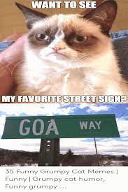 Cats are always known for their smart minds, and they especially attracted us by there cuteness. Top 23 Grumpy Cat Memes Work Funny Grumpy Cat Memes Cute Cat Memes Grumpy Cat Humor