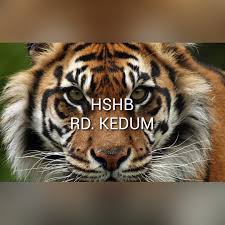 Satu di antara tempat wisata bahari yang terkenal di kaltim adalah derawan. Harimau Sumatera Hewan Beradat 18 Abc Surat Dunia
