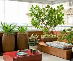 65 Fantastic Balcony Ideas For Inspiration Balkon Ideen Sichtschutz Pflanzen Winterhart Sichtschutz Pflanzen