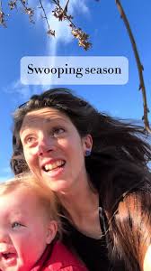 Understanding Magpie Swooping: Facts and Urban Wildlife Behavior