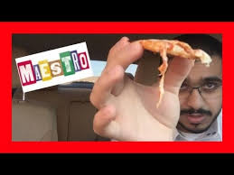 بيتزا مايسترو Youtube