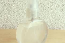Faire Maison Deo Vegan Et Cruelty Free La Ptite Noisette Fait Maison Deodorant Maison Deo Maison