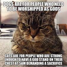 9gag On Twitter Dogs Are For People Who Like Dogs Cats Are For People Who Like Cats Https T Co Tegemrloqn