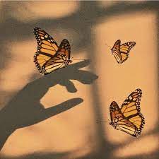 Maybe you would like to learn more about one of these? Yellow Butterflies Shadow Aesthetic Brown Butterflies Orange Aesthetic Aesthetic Pastel Wallpaper