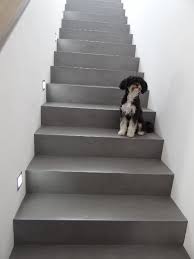 Betontreppe Gespachtelt Treppenbeschichtung Betonoptik Treppe Wie Sichtbeton Fugenlose Treppenspachtelung Zementar Oberflache Betontreppe Sichtbeton Treppe