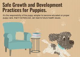 Puppy Growth And Development