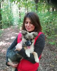 Do you need to leave town for vacation, business trip, or other obligation or just need a sporadic visit to your dog or cat for a. Pet House Sitting In Slovakia Insured On Petbacker
