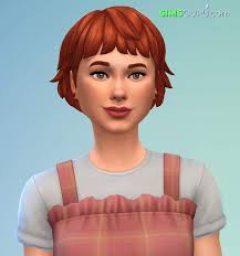 Guía: Simagrestes y la nueva situación