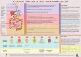 Buy Ayurvedic Concepts Of Digestion And Metabolism Book