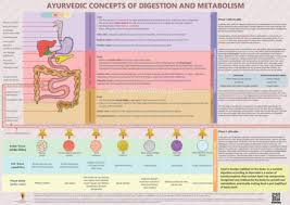 buy ayurvedic concepts of digestion and metabolism book