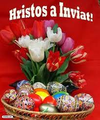 * hristos, cristos sau christos? Hristos A Inviat Holidays And Events Diy And Crafts Easter Flowers