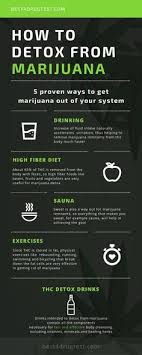 Proven ways to pass a drug test. Quick Saves