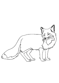 Welcome to our cute coloring page, the home of many appealing and silly pictures to keep you, your children or students happy and entertained for hours. Coloring Pages Fox Coloring Pages For Kids