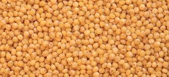 Lo trovi nei negozi di alimenti biologici! Le Proprieta Del Miglio Un Cereale Ancora Poco Considerato