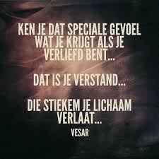 Verstand Kom Terug Lesbische Citaten Grappige Teksten Mooie Woorden