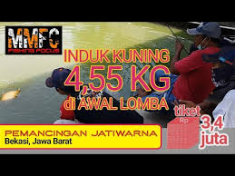 Lepas Psbb Langsung Gelar Lomba Pemancingan Jw Mmfc Youtube