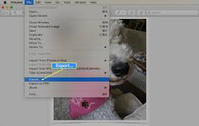 Click download and a dialog. How To Convert Png To Jpg