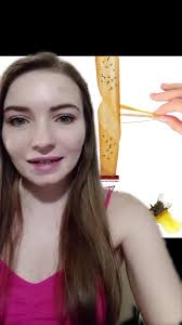 Hiw to Get Fly Trap Stickyniss Off A Baby Kitten