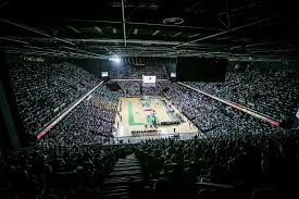 نتیجه جستجوی لغت [arenas] در گوگل