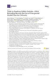 Image result for Platycoryne crocea