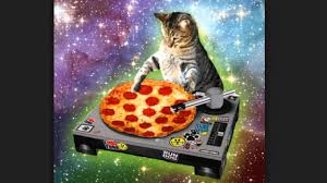 Party Cat Youtube