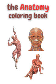 Best anatomy and physiology coloring workbook review, in bio explorer. The Anatomy Coloring Book Anatomy Coloring Book For Adults Best Coloring Book Ever 50 Coloring Pages Coloring Book Soukaina 9798697361979 Amazon Com Books