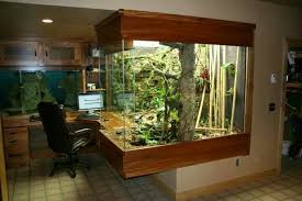 Pin On Vivarium