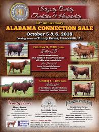 Ears are medium to large and individuals are horned or polled. Alabama Connection Sale Santa Gertrudis Bull Female Sale By Cattle In Motion Llc Issuu