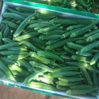 With the right bond, dreams create reality. Macro Agriculture Sdn Bhd Supplier From Malaysia View Company