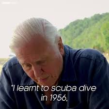 Scuba Instructor Amanda