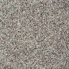 Lowes Stainmaster Carpet Deal Mgdigital Co