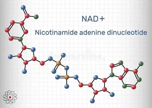 Is NAD a Peptide? The Truth About This Essential Coenzyme - Goldman