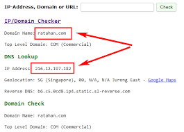 Apa Itu Nama Domain Cara Memilih Dan Membeli Nama Domain