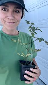 Can’t wait to start my gardening journey! Today’s coping skill is talk to  someone who has a garden and learn from them ❤️, We loved visiting  @tooelevalleynursery_ !!!, #gardening ...
