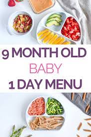 A few things to remember. 140 9 Month Old Baby Recipes Ideas In 2021 Healthy Baby Food Baby Breakfast 9 Month Old Baby Food