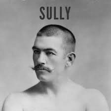 Sully: The Podcast