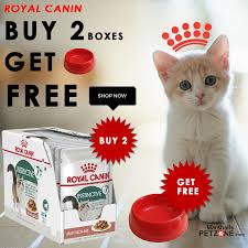 Get A Bowl Free On Royal Canin Wet Cat Food In 2020 Buy A Cat Wet Cat Food Dry Cat Food