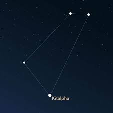 Image result for Equilabium selukwense