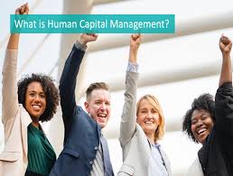 Human capital is the stock of habits, knowledge, social and personality attributes (including creativity) embodied in the ability to perform labour so as to produce economic value. What Is Human Capital Management Talentlyft