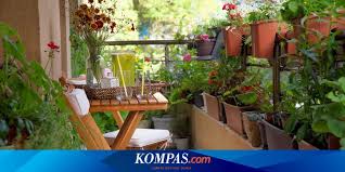 Ada beragam jenis kaktus yang bisa menambah nilai estetika. 5 Manfaat Tanaman Hias Bagi Manusia Menurut Sains Halaman All Kompas Com