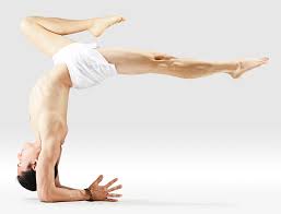 Check spelling or type a new query. Yoga Blogs To Check Out For World Yoga Day 2021 The Blog Herald