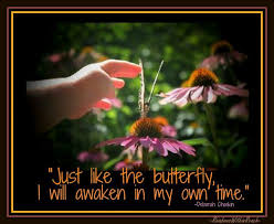 Www Prekandksharing Blogspot Com Early Childhood Education Quotes Early Education Quotes Early Childhood Education