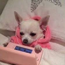 Jaminan harga terbaik, aman, dan tepercaya. Bee Drinkinglavalamps Profile Pinterest