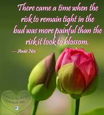 Pin By Elaine Vanslyke On Flower Bloom Quotes Quotes About Flowers Blooming Flower Quotes What Is Happiness