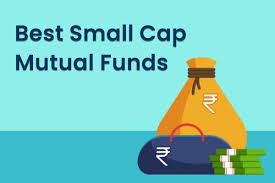 Which Is One Of The Best Small-Cap Mutual Funds? - Quora