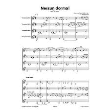 Nessun dorma is an aria from the final act of giacomo puccini's opera turandot. Nessun Dorma Aus Turandot